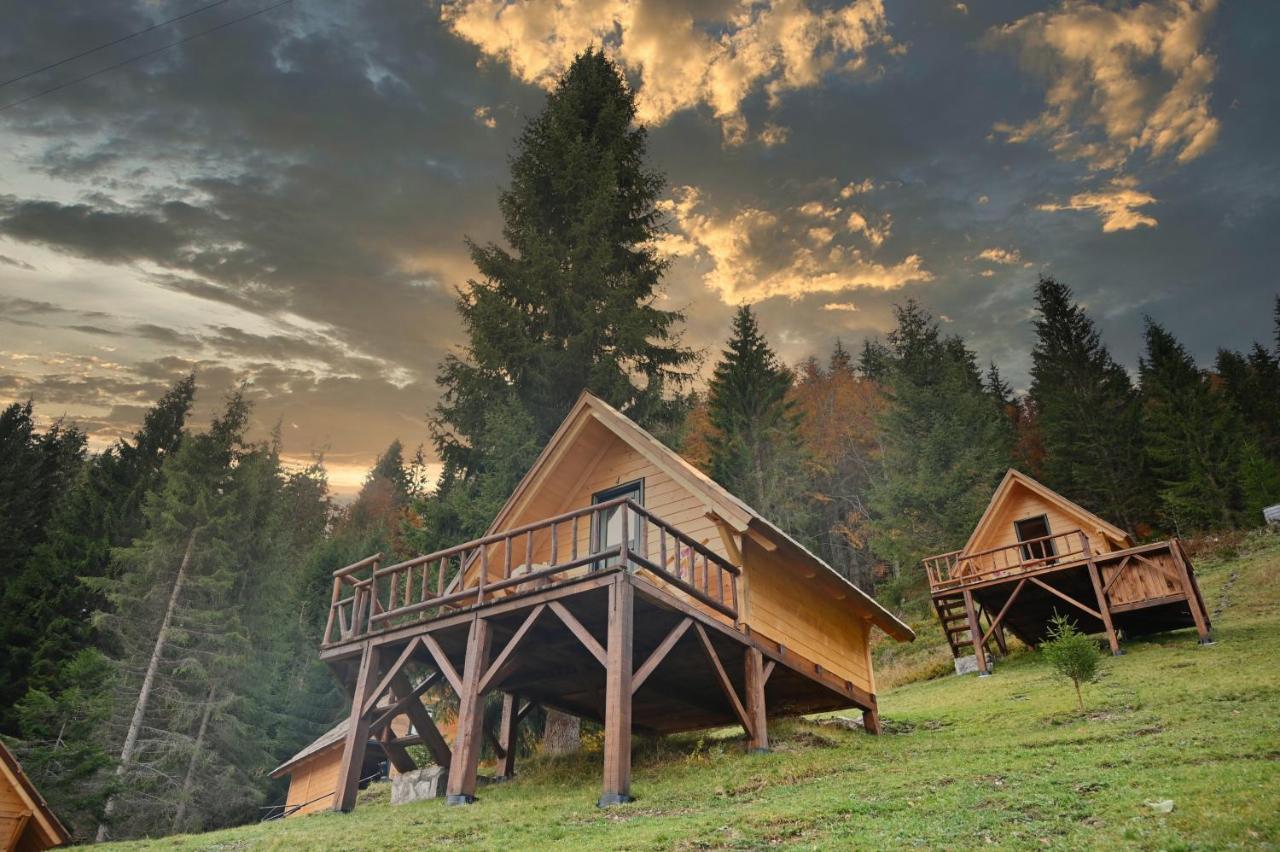 Вілла Chalet-Bungalow Jelovica Беране Номер фото